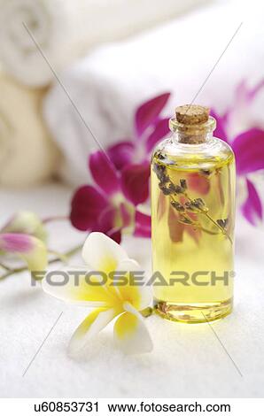 Massage oil with frangipani beside rolled towel View Large Photo Image Stock Image - Massage oil with frangipani beside rolled towel. Fotosearch