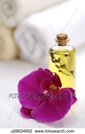 Orchid and aromatherapy oil with rolled towel in background View Large Photo Image Stock Image - Orchid and aromatherapy oil with rolled towel in background. Fotosearch