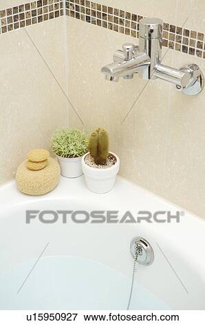 Pot culture and bath sponge on the edge of bathtub View Large Photo Image Stock Photo - Pot culture and bath sponge on the edge of bathtub. Fotosearch