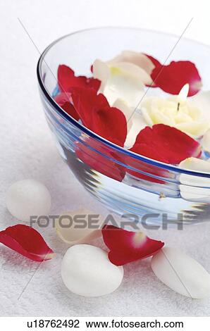 Rose petals and burning candle in a bowl View Large Photo Image Stock Image - Rose petals and burning candle in a bowl. Fotosearch