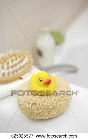 Stock Photo - Rubber duck on the bath sponge. Fotosearch