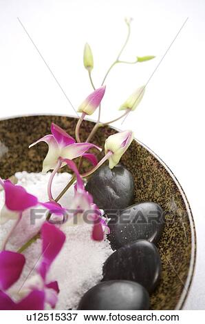 Stones, orchid and bath salt on the plate View Large Photo Image Stock Photo - Stones, orchid and bath salt on the plate. Fotosearch