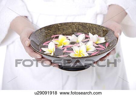 Woman carrying bowl of water with frangipani and petals View Large Photo Image Stock Photo - Woman carrying bowl of water with frangipani and petals. Fotosearch