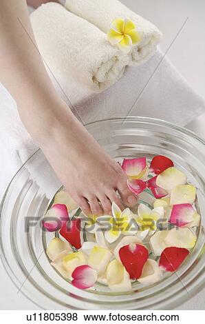 Stock Photo - Woman's feet in a bowl filled with water and petals. Fotosearch