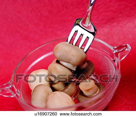 delicacies, cooking, fork, delicious, food, cook, cuisine View Large Photo Image Stock Image - delicacies, cooking, fork, delicious, food, cook, cuisine. Fotosearch