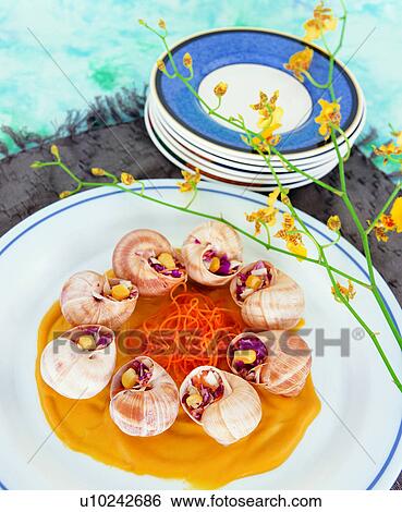 Stock Photograph - food, cooking, cuisine, delicious, spiral shell, delicacies, cook. Fotosearch