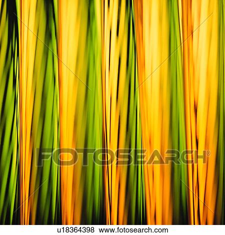 backdrop, originality, rays, creative, abstract, background, orange View Large Photo Image Stock Photo - backdrop, originality, rays, creative, abstract, background, orange. Fotosearch