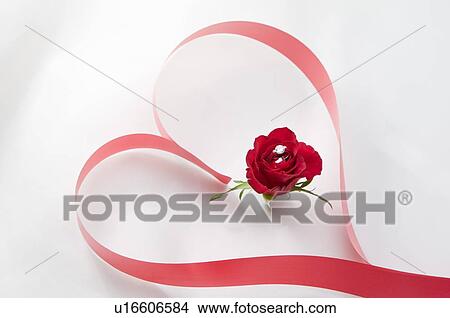 Heart shape created using red ribbon, single rose in the heart View Large Photo Image Picture - Heart shape created using red ribbon, single rose in the heart. Fotosearch
