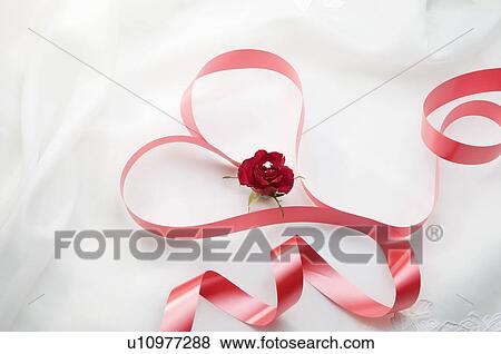 Heart shape created using red ribbon, single rose in the heart View Large Photo Image Stock Photo - Heart shape created using red ribbon, single rose in the heart. Fotosearch