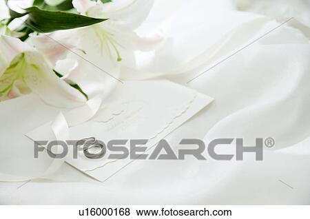 Pair of ring and lily on fabric View Large Photo Image Stock Photo - Pair of ring and lily on fabric. Fotosearch
