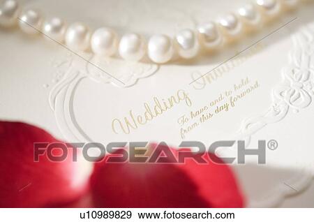 Pearl necklace and rose petals on wedding invitation View Large Photo Image Stock Photo - Pearl necklace and rose petals on wedding invitation. Fotosearch