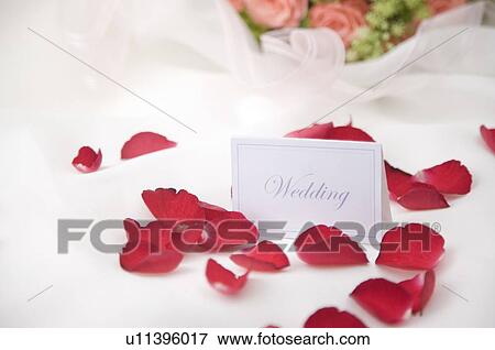 Stock Photo - Rose petals and wedding name tag on fabric. Fotosearch