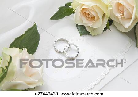 Roses and pair of wedding rings on fabric View Large Photo Image Stock Image - Roses and pair of wedding rings on fabric. Fotosearch