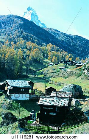 Stock Image - Grassland, Trees, Switzerland, Wonder World, Plants, Wild field, Building. Fotosearch