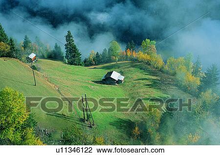 Houses, Plant, Switzerland, Artificial landscape, House, Tree, Wild field View Large Photo Image Stock Image - Houses, Plant, Switzerland, Artificial landscape, House, Tree, Wild field. Fotosearch