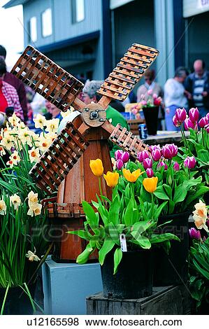 Stock Photo - Human, Pot plants, Plant, Humans, Flower, Flowers, Buildings. Fotosearch