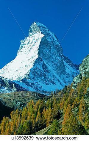 Mountains, Plants, Tree, Nature landscape, Trees, Wild field, Switzerland View Large Photo Image Stock Photo - Mountains, Plants, Tree, Nature landscape, Trees, Wild field, Switzerland. Fotosearch