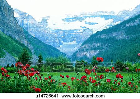 Stock Image - Mountains, Valleys, Banff, Artificial landscape, Wonder World, Valley, Plants. Fotosearch