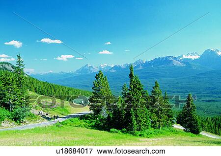 Stock Photo - Nature landscape, Tree, Plant, Wild field, Valleys, Mountains, Wonder World. Fotosearch