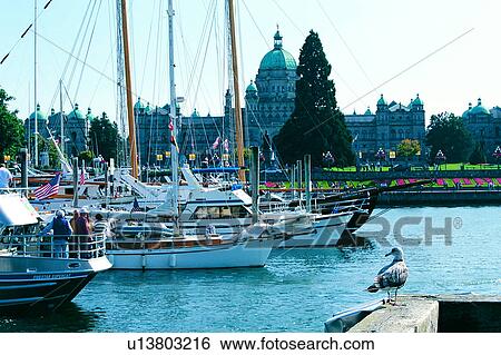 Stock Photograph - Plant, Buildings, Animal, Victoria, Human, Nature landscape, Artificial landscape. Fotosearch