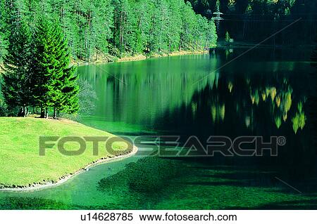 Stock Photography - Plants, Artificial landscape, Switzerland, Nature landscape, River, Creek, Valley. Fotosearch