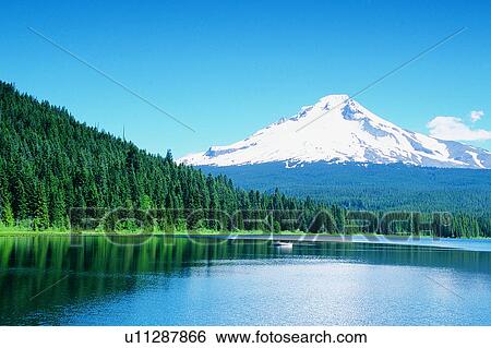Stock Photograph - Ponds, Mountains, Pond, Plants, Nature landscape, Wild field, Water. Fotosearch