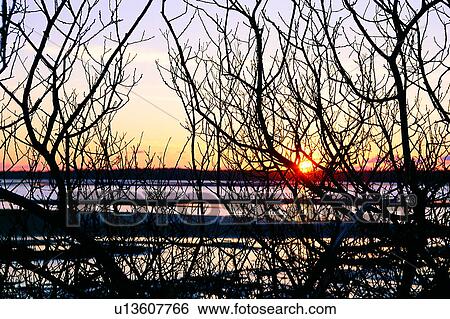 Ponds, Ocean, Pond, Seas, Lake, Artificial landscape, Trees View Large Photo Image Stock Photograph - Ponds, Ocean, Pond, Seas, Lake, Artificial landscape, Trees. Fotosearch