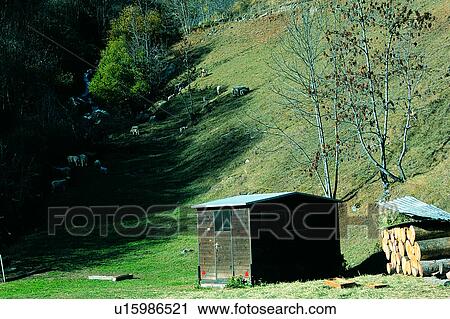 Tree, Meadow, Buildings, Plants, Mountain, Wood, Mountains View Large Photo Image Stock Image - Tree, Meadow, Buildings, Plants, Mountain, Wood, Mountains. Fotosearch