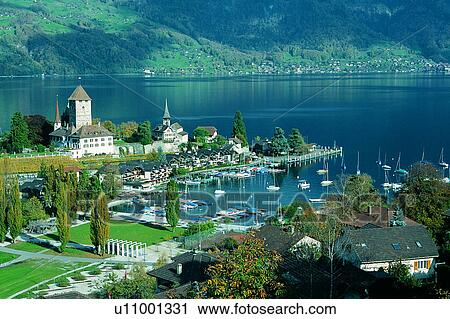 Stock Image - Tree, Valleys, Plants, Switzerland, Pond, Wonder World, Grassland. Fotosearch