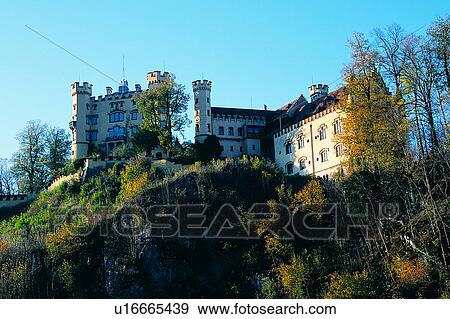Stock Photo - Wild field, Building, Buildings, Tree, Plants, Plant, House. Fotosearch