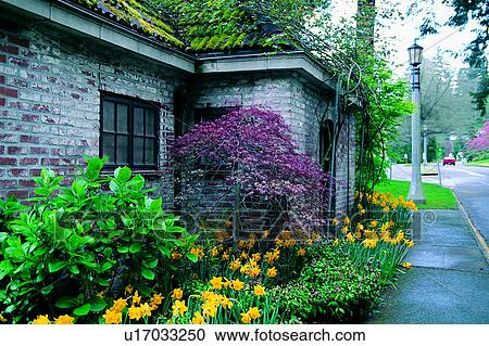 Stock Image - Wonder World, Bushes, Flower, USA, The States, Street lamps. Fotosearch