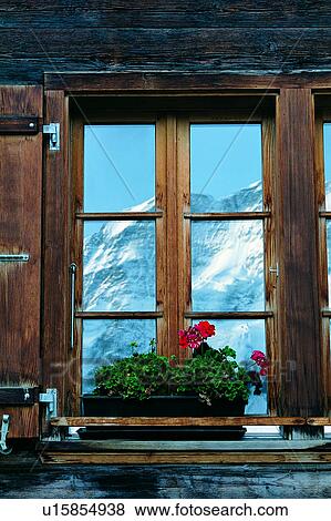 Stock Photo - Wonder World, Plants, Buildings, Windows, Flowers, Artificial landscape, Pot plants. Fotosearch