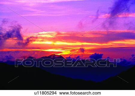 Picture - Forests, Scenery, Clouds, Trees, Forest, Nantou. Fotosearch