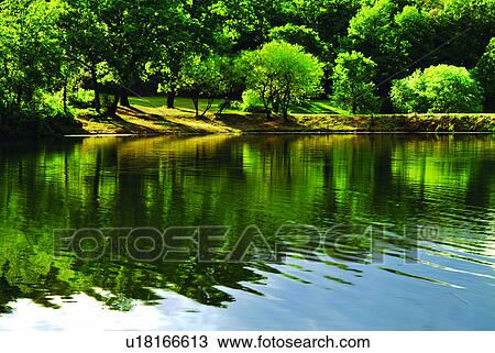 Stock Image - Grassland, Ponds, Water, Lake, Tree, Plant, Forests. Fotosearch