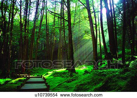 Mountains, Discovery of Nature, Light, Forest, Forests, Natural landscape View Large Photo Image Picture - Mountains, Discovery of Nature, Light, Forest, Forests, Natural landscape. Fotosearch