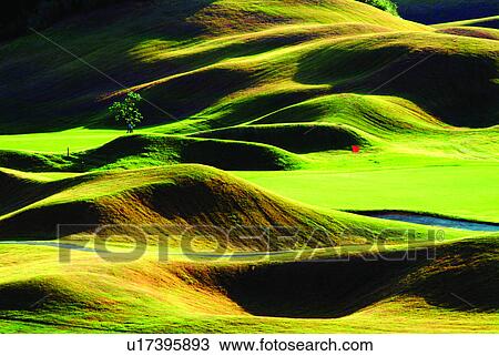 Stock Image - Plants, Easy, Grass, Pools, Sports, Ponds. Fotosearch