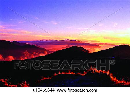 Plants, Mountains, Discovery of Nature, Mt Hohuan, Woods, Mountain View Large Photo Image Picture - Plants, Mountains, Discovery of Nature, Mt Hohuan, Woods, Mountain. Fotosearch