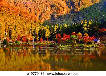 Stock Photograph - Pools, Pond, Scenery, Asia, Relaxing, Plant. Fotosearch