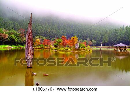 Stock Photo - Pools, Tree, Recreation, Relaxing, Lake, Scenery. Fotosearch