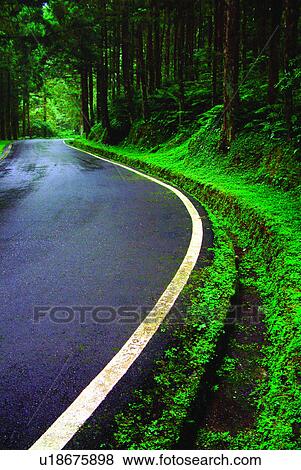 Relaxing, Plants, Forests, Trees, Tree, Easy, Forest View Large Photo Image Stock Photo - Relaxing, Plants, Forests, Trees, Tree, Easy, Forest. Fotosearch