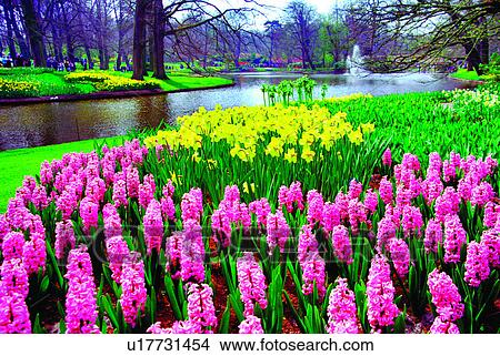 Picture - Relaxing, Tree, Flowers, Easy, Trees, Plants. Fotosearch