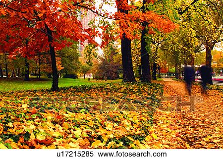 Stock Photography - Scenery, Relaxing, Discovery of Nature, People, Plant, Falling leaves, Recreation. Fotosearch