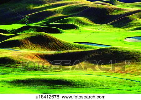 Stock Photo - Working-out, Grass, Plant, Easy, Golf court, Plants. Fotosearch
