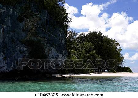 beach, summer, trees, outside, Asia, seashore View Large Photo Image Stock Photography - beach, summer, trees, outside, Asia, seashore. Fotosearch