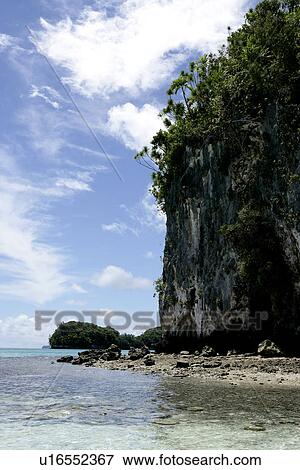 Stock Photo - sky, Day, trees, seashore, cloud, clear day. Fotosearch