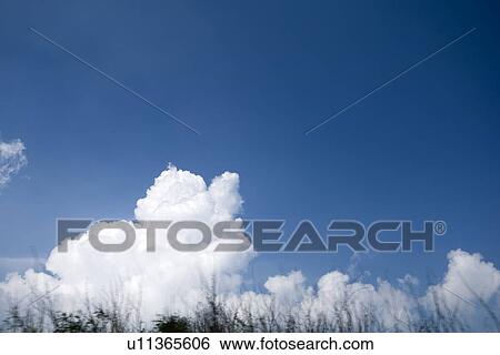 Stock Photograph - summer, sky, white cloud, blue, sky, outside. Fotosearch