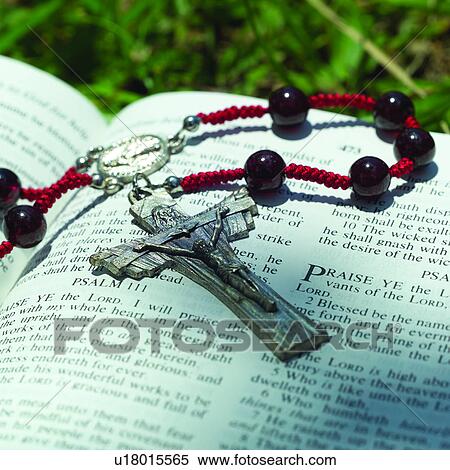 Stock Photography - Catholicism, Plant, Plants, Christianism, Tradition, Belief, Bible. Fotosearch