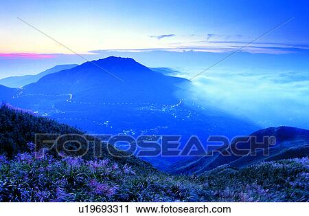 Bluesterm, Plant, Mountains, Sky, Nature, Bluesterms, Grass View Large Photo Image Stock Image - Bluesterm, Plant, Mountains, Sky, Nature, Bluesterms, Grass. Fotosearch