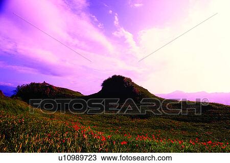 Countryside, Landscape, Nature, Plant, Cloud, Field, Natural landscape View Large Photo Image Stock Image - Countryside, Landscape, Nature, Plant, Cloud, Field, Natural landscape. Fotosearch