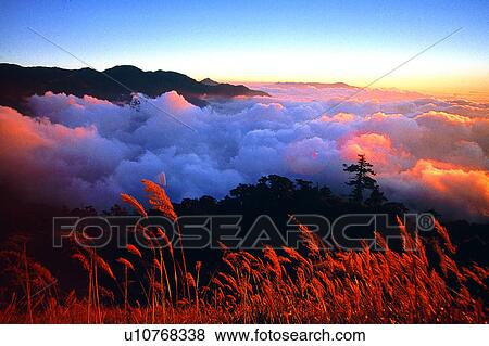 Grass, Mountains, Plants, Bluesterms, Clouds, Bluesterm, Plant View Large Photo Image Stock Photo - Grass, Mountains, Plants, Bluesterms, Clouds, Bluesterm, Plant. Fotosearch